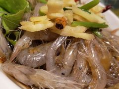 -启东海鲜人家(古美路店)