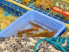 -飞尝蚝·顺德菜·鱼生(顺德总店)
