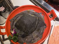-二荆条·蜀鲜汇城市森林火锅