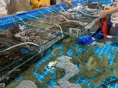 -新鸿港水果市场