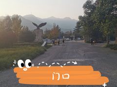 -北京鹫峰国家森林公园