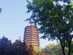 -玲珑塔公园