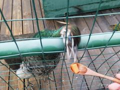 -香宫中餐厅 · 桂林香格里拉
