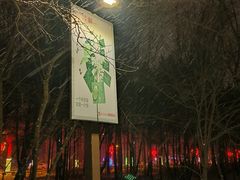 -长春市南湖公园