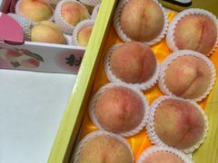 -南汇水蜜桃采摘(大团店)