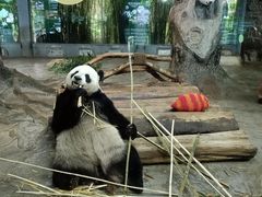-海南热带野生动植物园