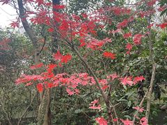 -上海月湖雕塑公园