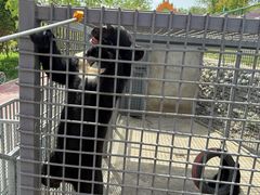 -水上乐园·欢乐世界