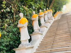 -西双版纳勐泐文化旅游区