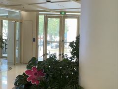 -观心实验室·心理咨询(上海旗舰店)