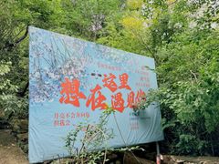 -连云港云龙涧原生态风景区