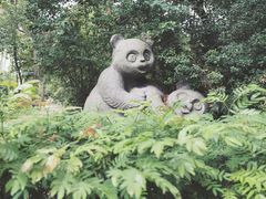 -狐尾山公园
