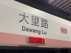 -大望路(地铁站)