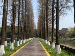 -圩墩遗址公园