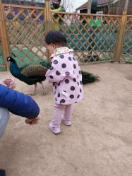 -萌宠亲子动物乐园(槐房万达店)