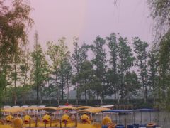 -洋湖国家湿地公园