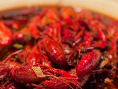 -嘉定凯悦·咖啡厅