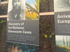 -怀托摩萤火虫洞