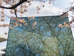 -龙美术馆(西岸馆)