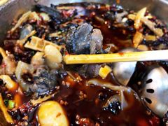 -黑竹香鸡(营和巷店)