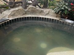 -哈尔滨太平湖温泉酒店