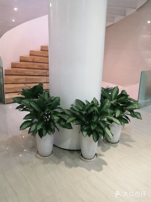 比华利美容医院图片