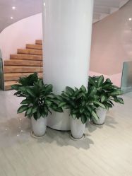 -比华利美容医院