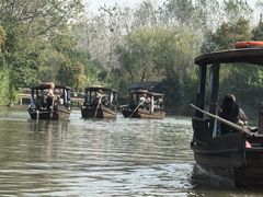 -溱湖国家湿地公园