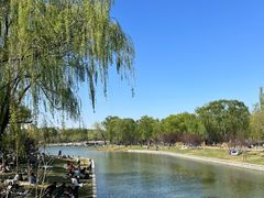 -朝阳公园游乐园