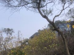 -福道