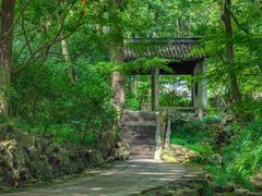 -杭州植物园