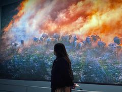 -罗红摄影艺术馆