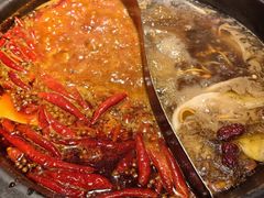 -蜀大侠火锅(总府路店)