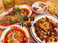 -福苗小骆驼烧烤(莲湖路店)
