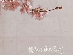 -龙美术馆(西岸馆)