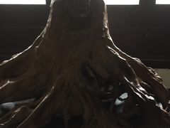 -王家大院