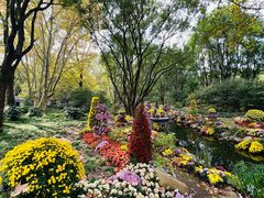 -上海共青森林公园