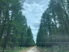 -塞罕坝国家级自然保护区