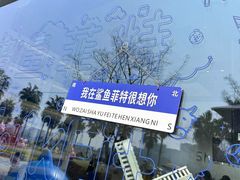 -鲨鱼菲特(金沙湖店)