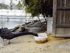 -同济大学(嘉定校区)