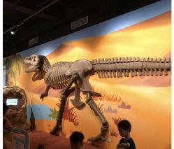 -北京科学中心儿童乐园