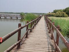 -西青郊野公园