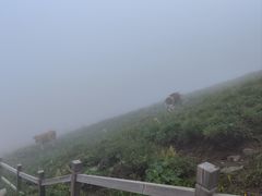 -灵山