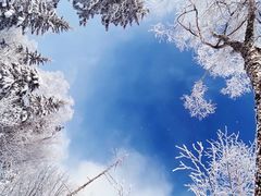 -雪谷