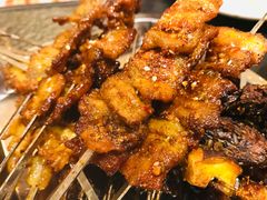 -福苗小骆驼烧烤(莲湖路店)