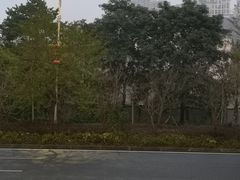 -中国工商银行(重庆南坪支行)