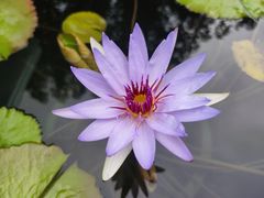 -上海辰山植物园