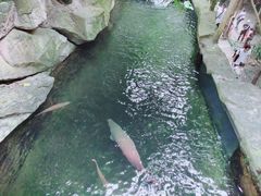 -青青世界