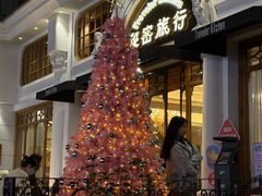 -秘密旅行Bonjour(黑金冠 江南西店)