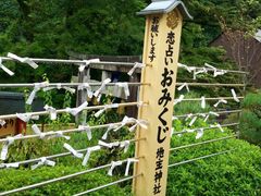 -有栖山 清光院 清水寺